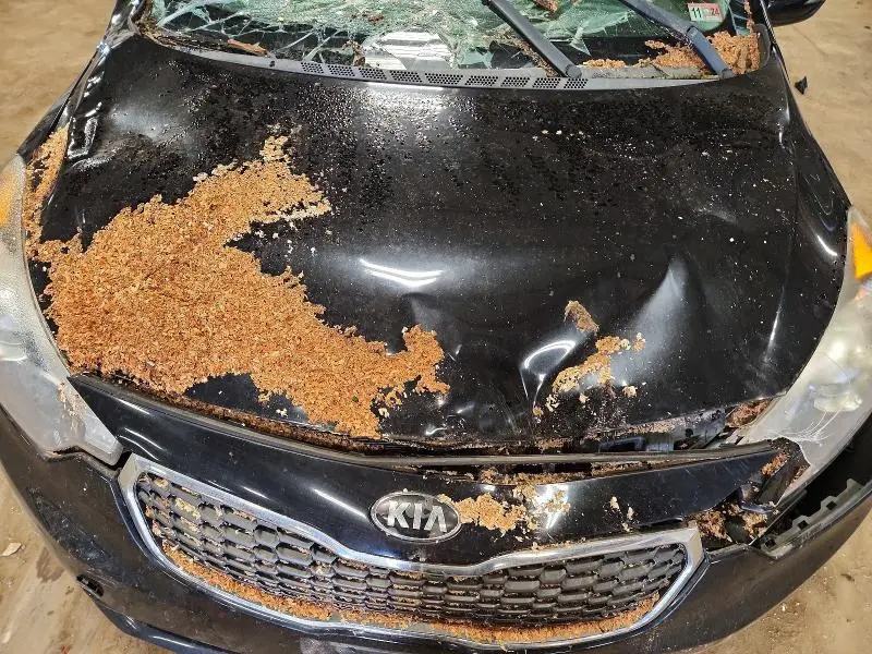 2014 KIA FORTE EX  