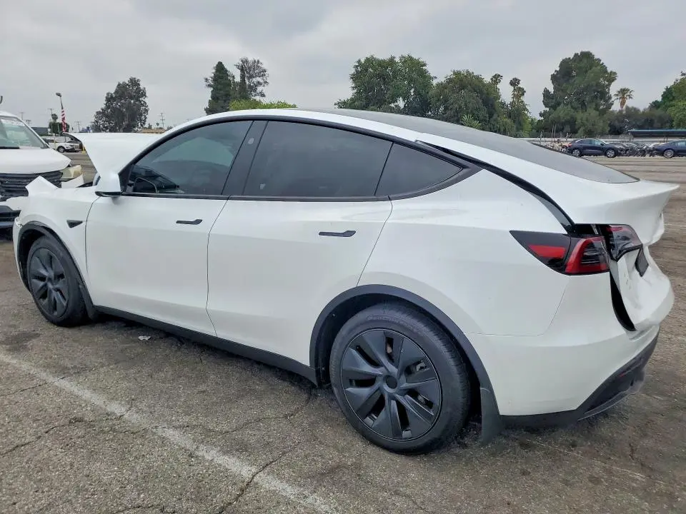 2024 TESLA MODEL Y   