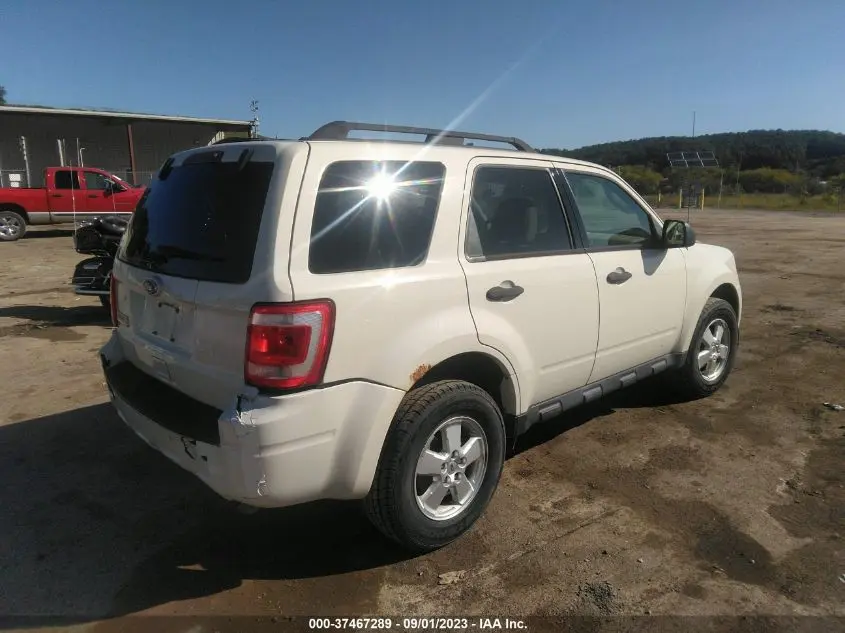 2011 FORD ESCAPE XLT