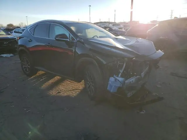 2024 LEXUS NX 350 BASE  