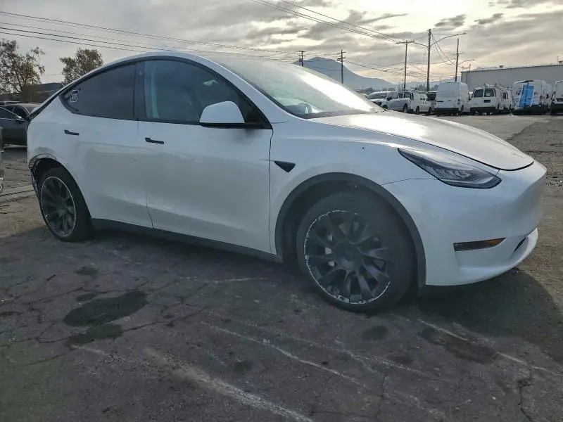2020 TESLA MODEL Y   