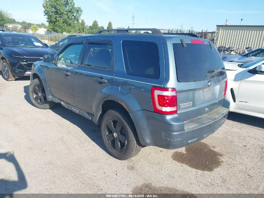 2011 FORD ESCAPE XLT