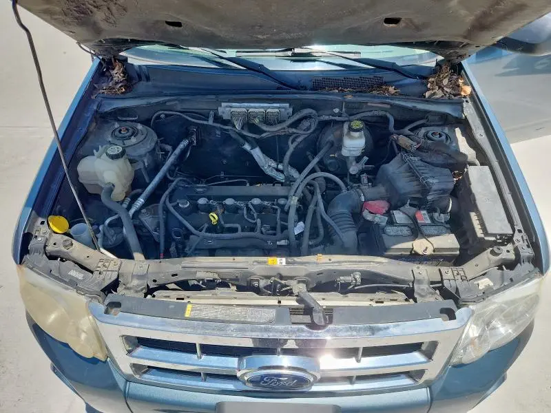 2011 FORD ESCAPE XLT