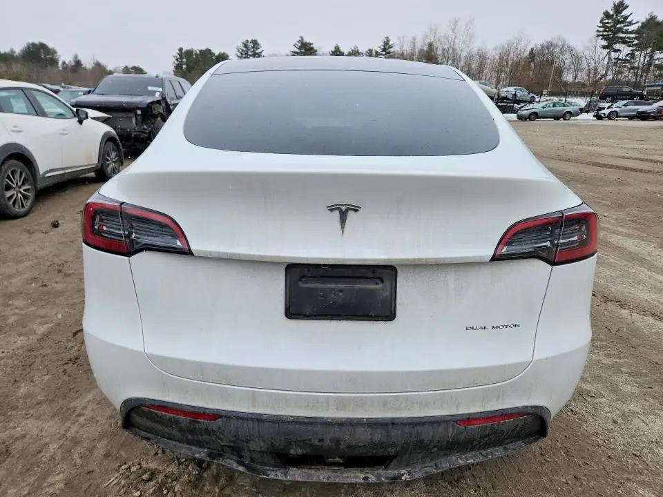 2025 TESLA MODEL Y   