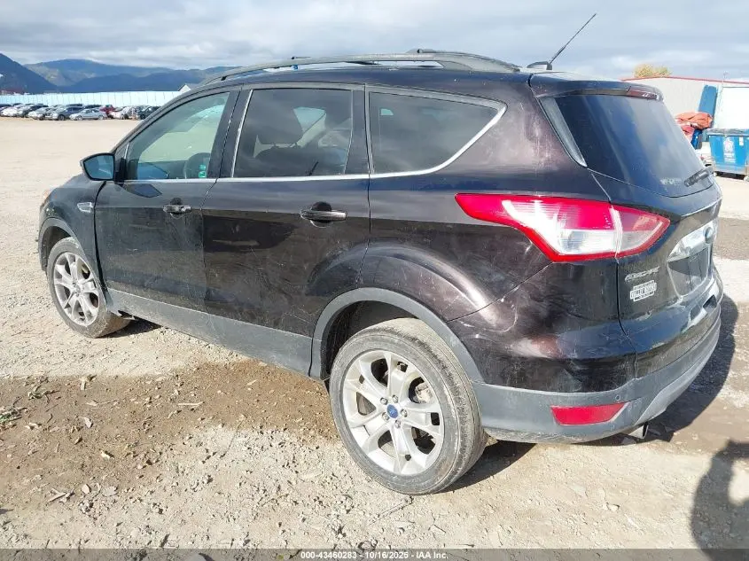 2013 FORD ESCAPE SEL
