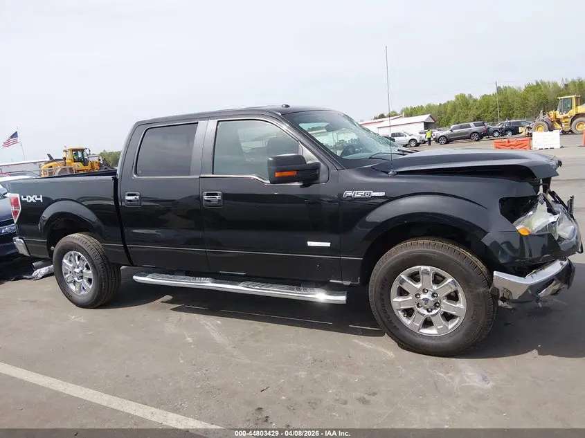 2013 FORD F-150 XLT