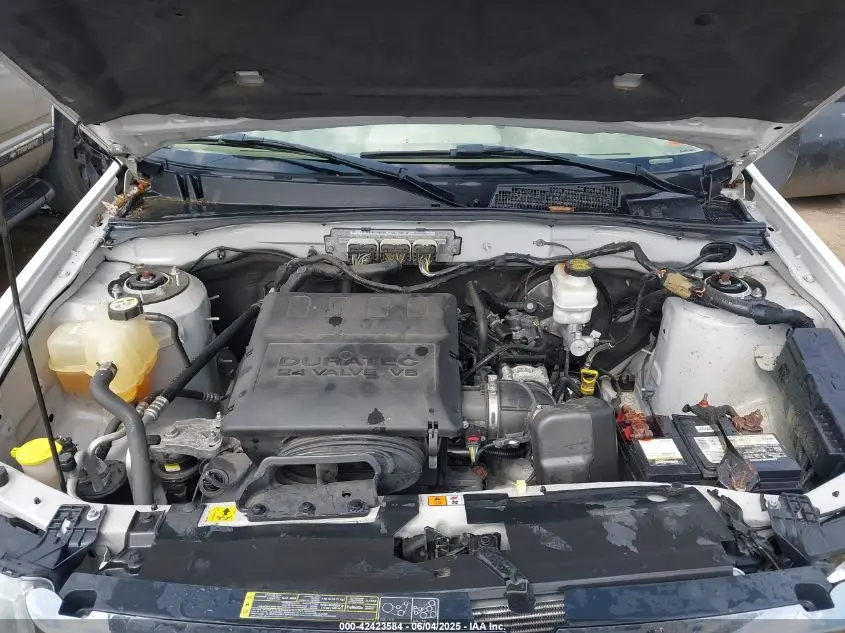 2010 FORD ESCAPE XLT