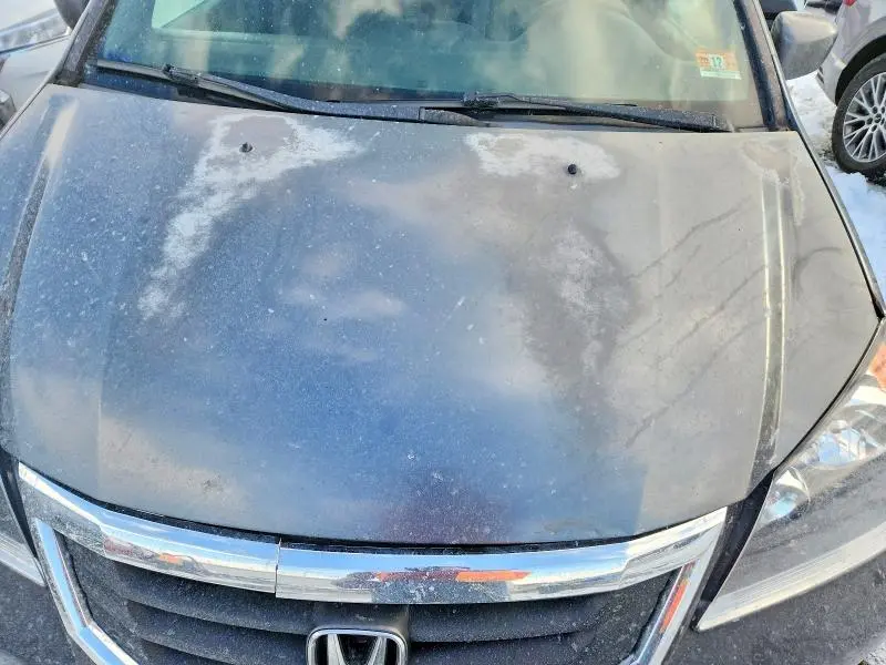 2010 HONDA ODYSSEY EX  