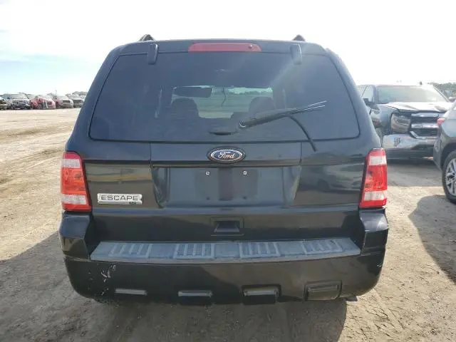 2011 FORD ESCAPE XLT