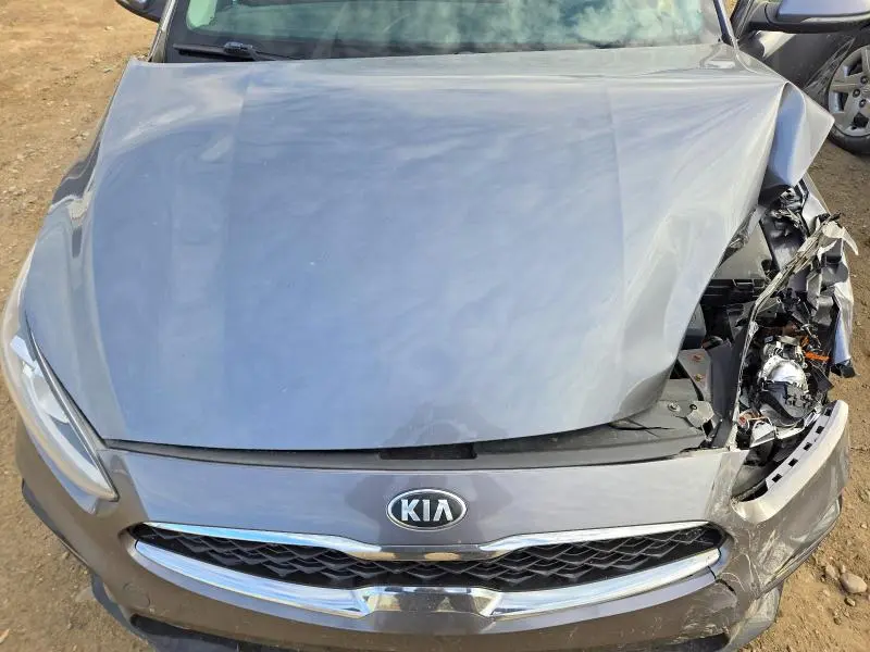 2019 KIA FORTE EX  