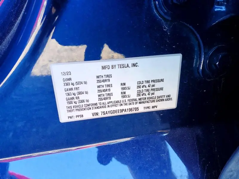 2023 TESLA MODEL Y   