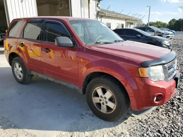 2010 FORD ESCAPE XLS  
