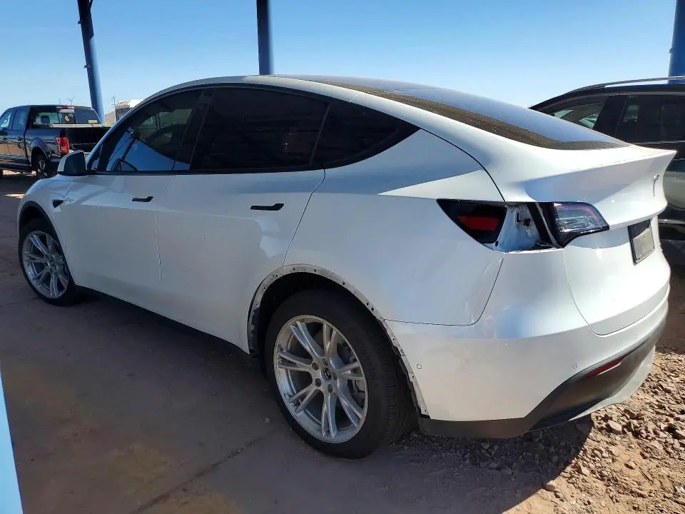 2021 TESLA MODEL Y   