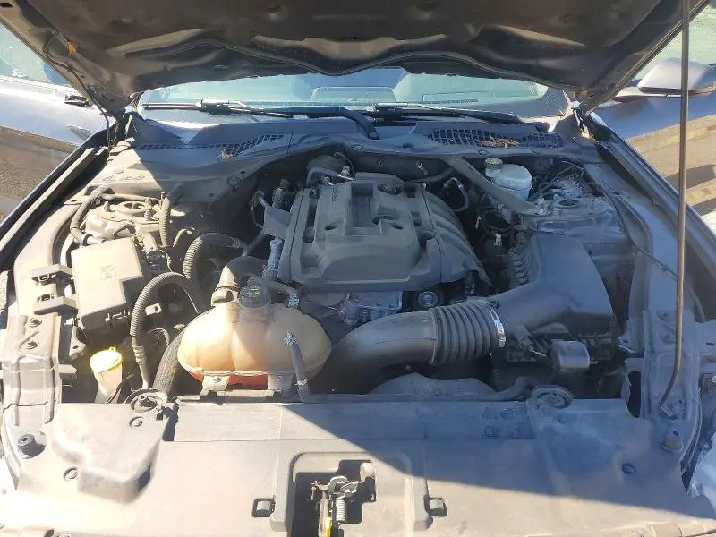 2019 FORD MUSTANG   