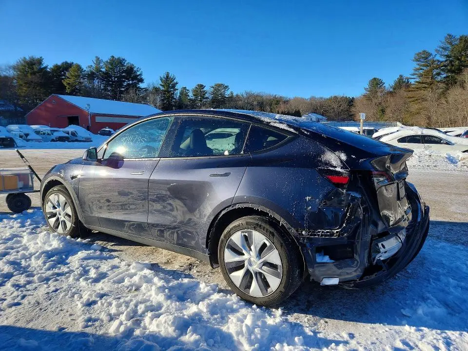 2024 TESLA MODEL Y   