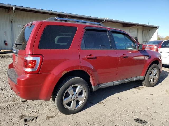 2010 FORD ESCAPE LIMITED