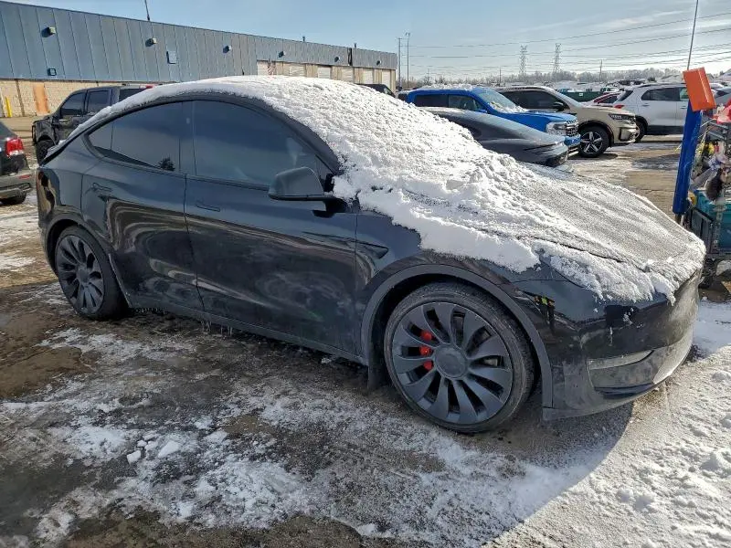 2024 TESLA MODEL Y   