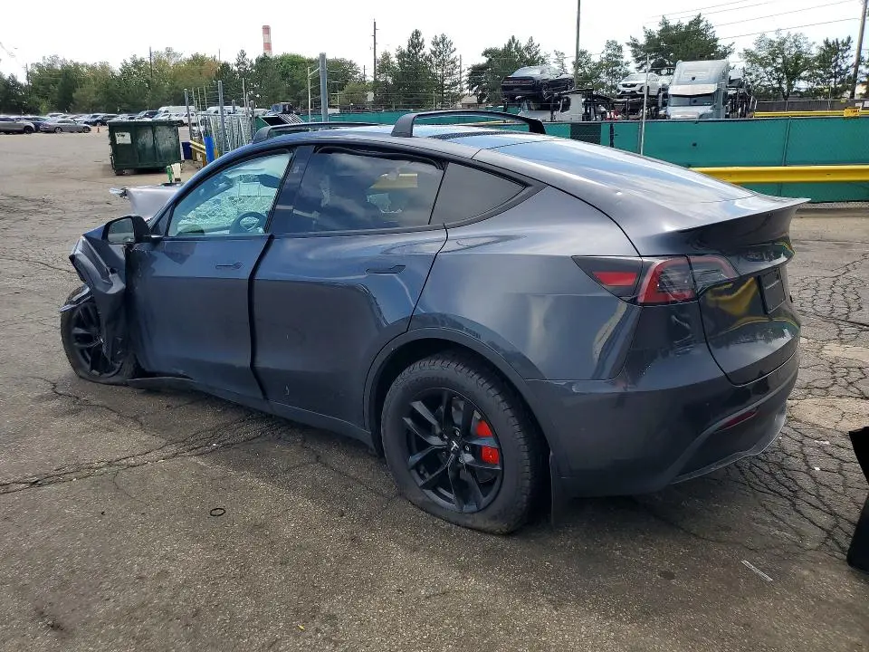 2025 TESLA MODEL Y   