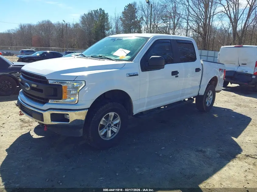 2019 FORD F-150 XL