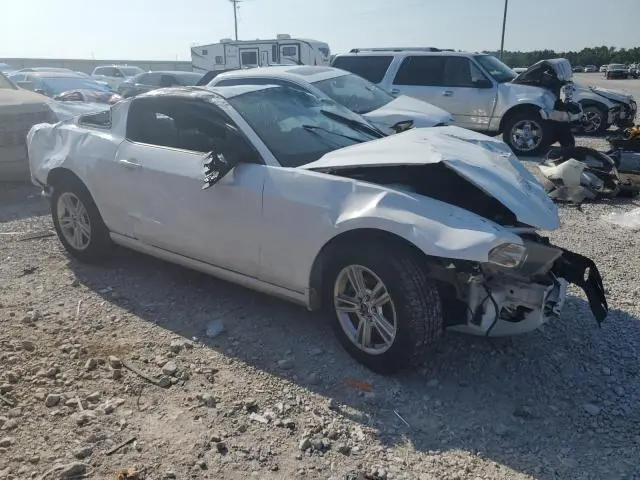 2014 FORD MUSTANG   