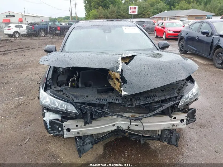 2019 TOYOTA AVALON XLE