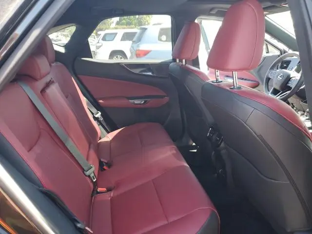 2024 LEXUS NX 350 BASE  