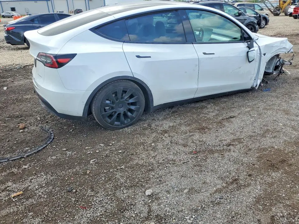 2021 TESLA MODEL Y   