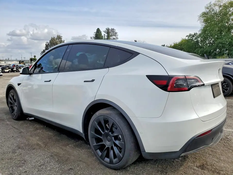 2021 TESLA MODEL Y   