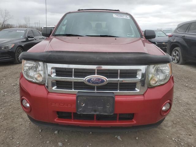 2011 FORD ESCAPE XLT