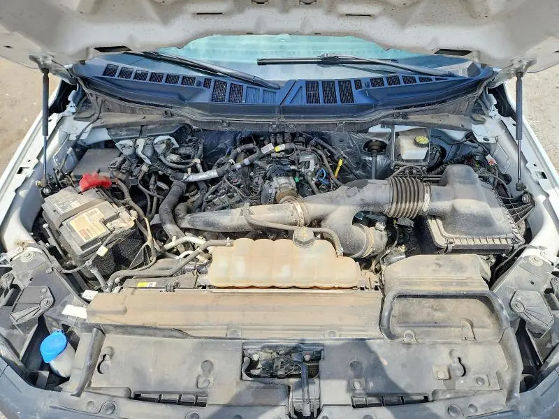 2024 FORD F150 XL  