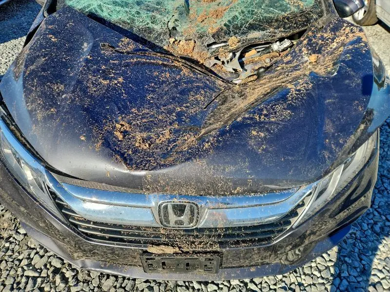 2019 HONDA ODYSSEY EX  