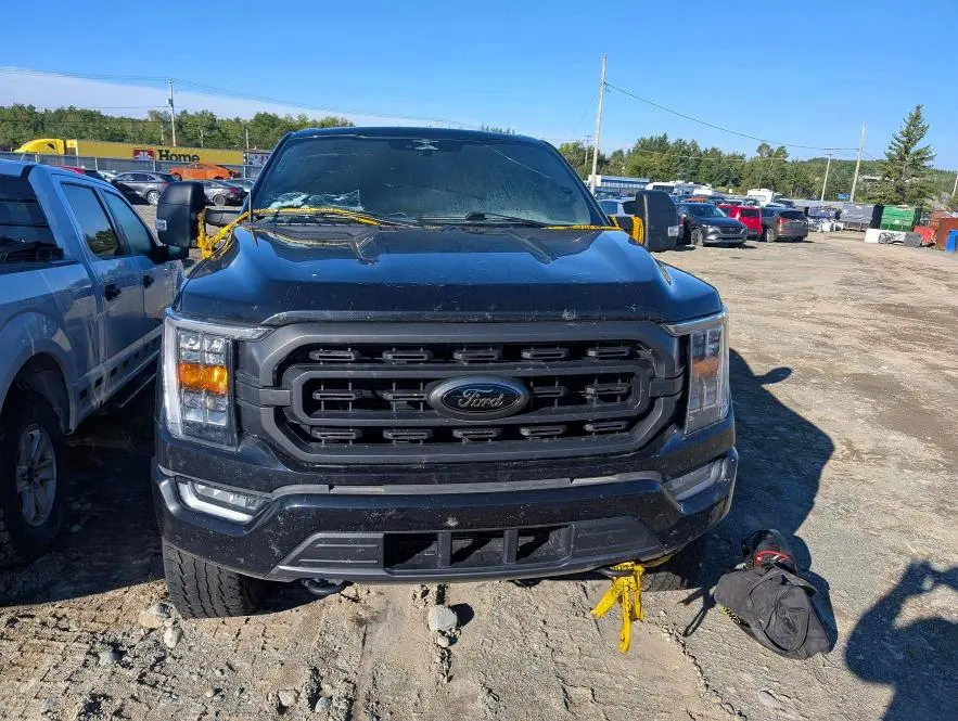 2023 FORD F150 SUPERCREW  