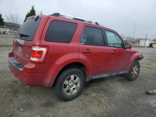 2010 FORD ESCAPE LIMITED  