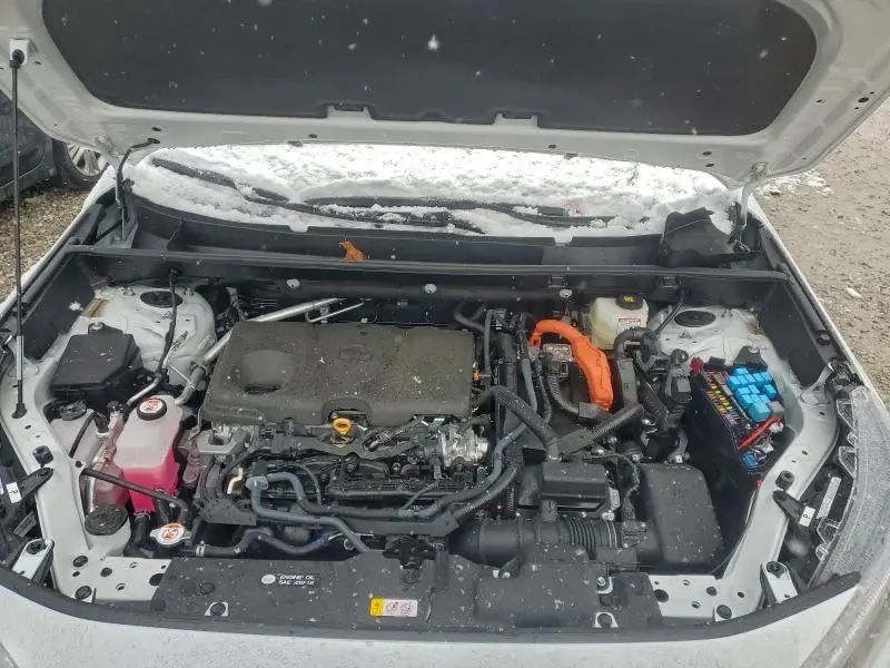 2025 TOYOTA RAV4 XSE  