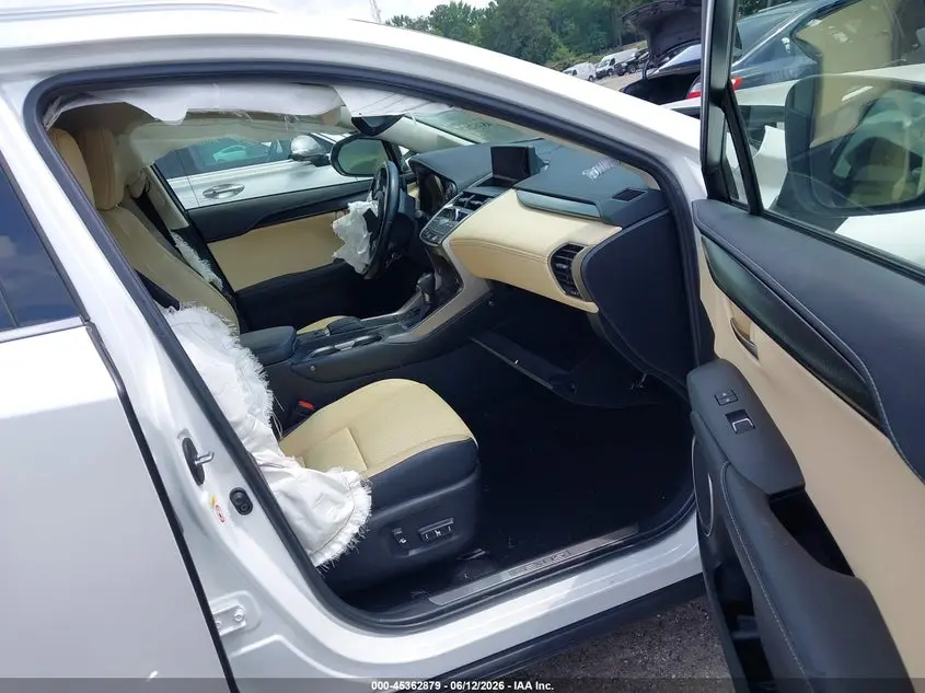 2019 LEXUS NX 300  