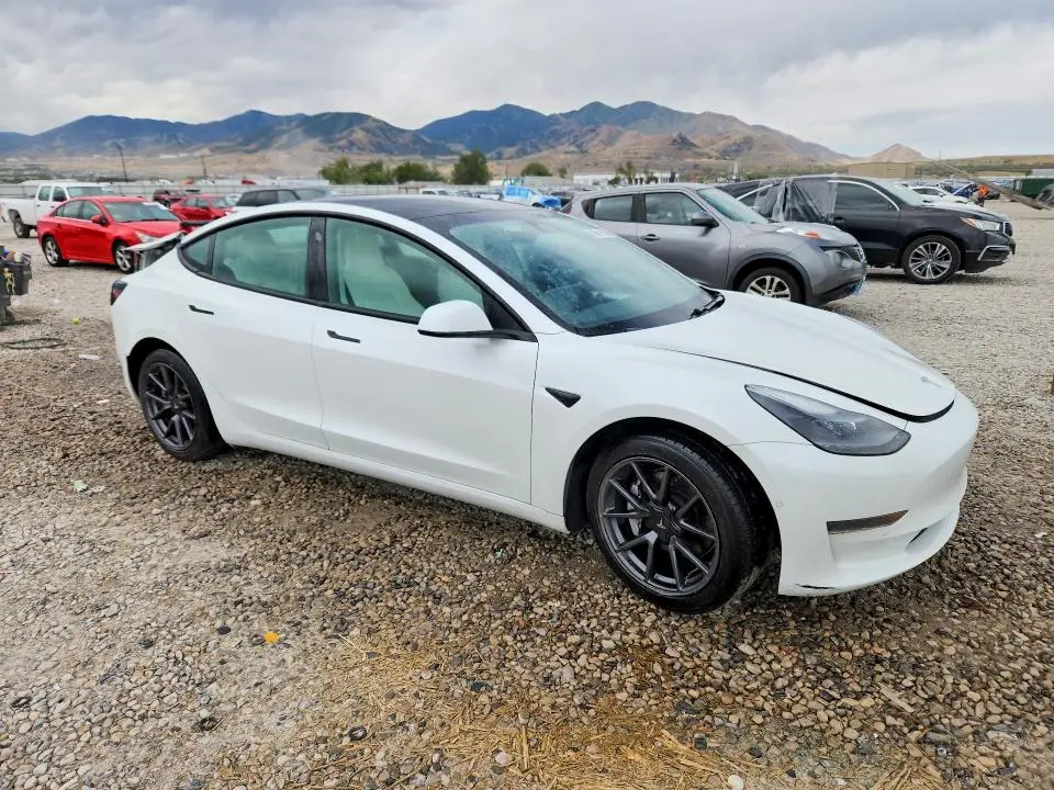 2021 TESLA MODEL 3   