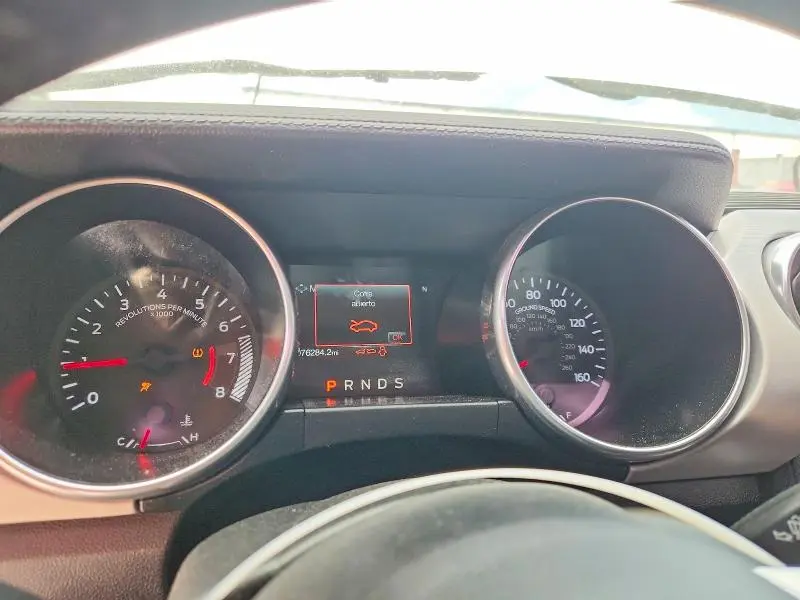 2019 FORD MUSTANG   