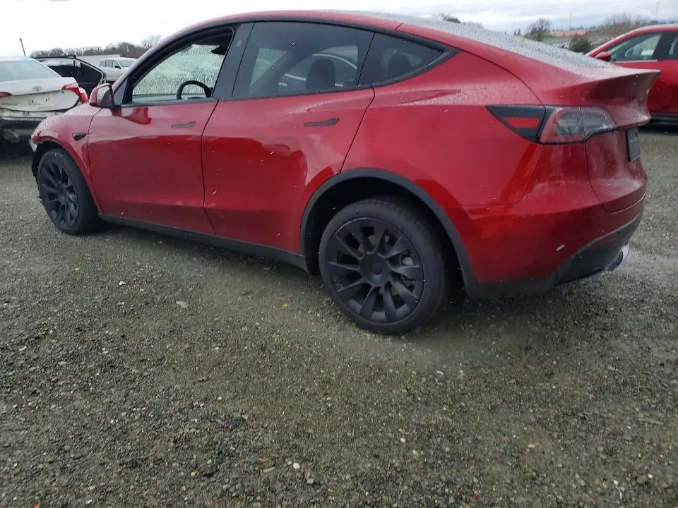 2024 TESLA MODEL Y   