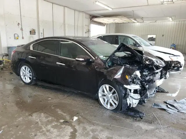 2010 NISSAN MAXIMA S  