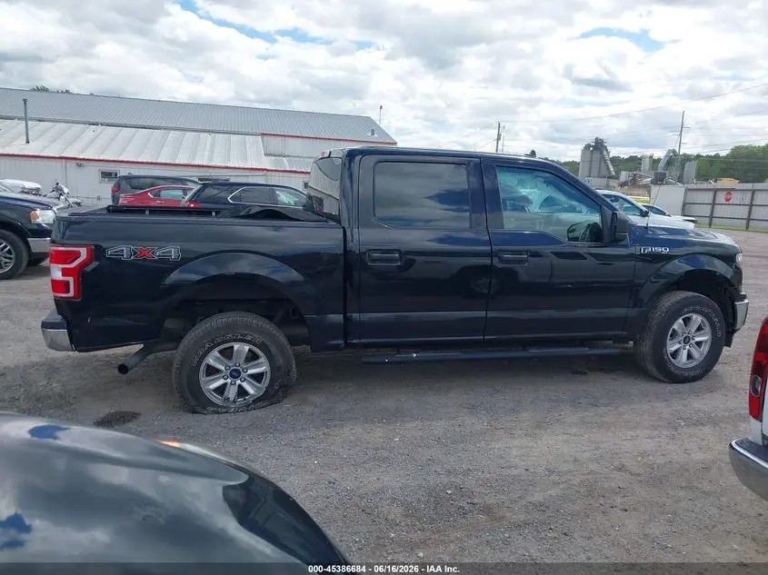 2019 FORD F-150 XLT