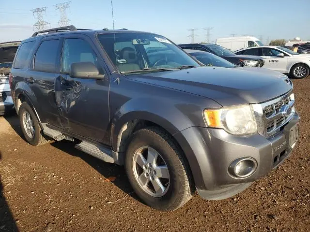 2010 FORD ESCAPE XLT  