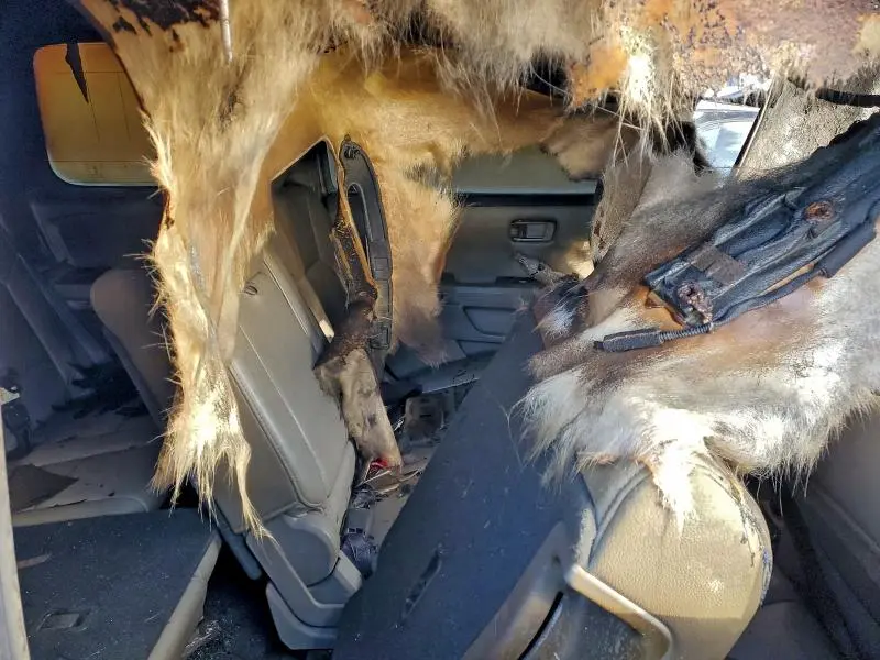 2012 HONDA PILOT TOURING  