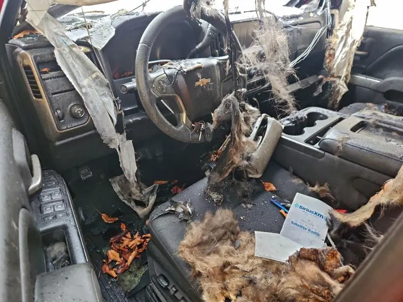 2015 CHEVROLET SILVERADO C1500 LT  