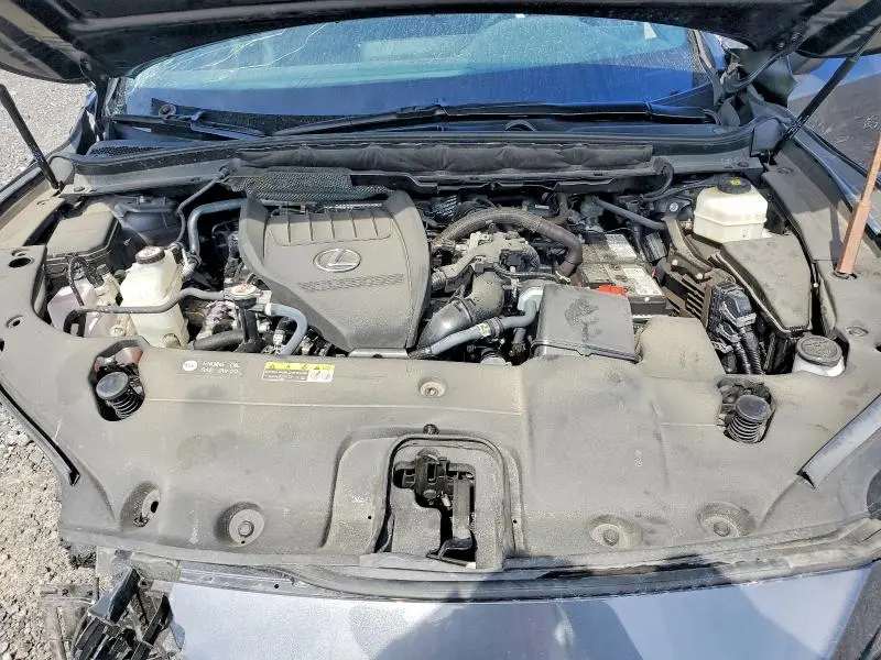 2024 LEXUS RX 350 BASE  
