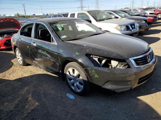 2010 HONDA ACCORD EXL