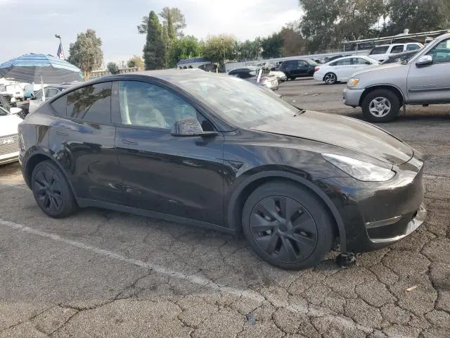 2025 TESLA MODEL Y   