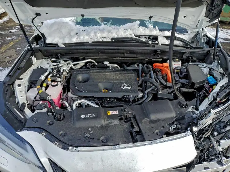 2025 LEXUS NX 450H LUXURY  