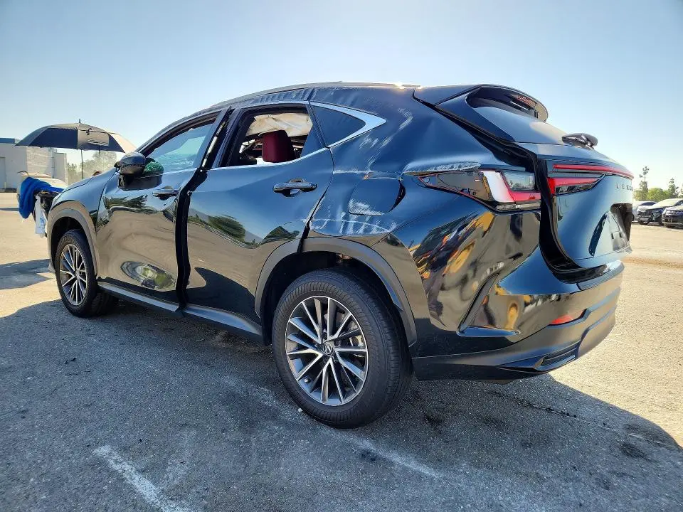 2025 LEXUS NX 250 PREMIUM  