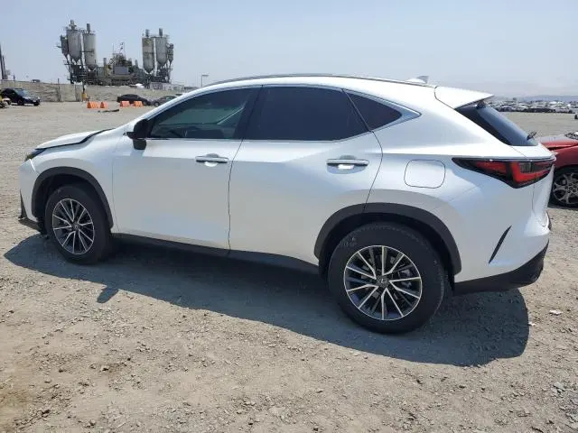 2024 LEXUS NX 250 BASE  