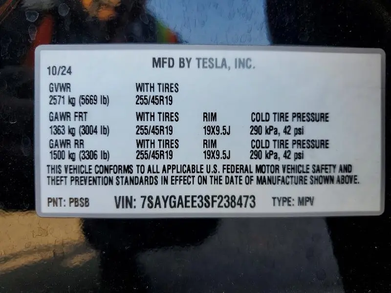 2025 TESLA MODEL Y   
